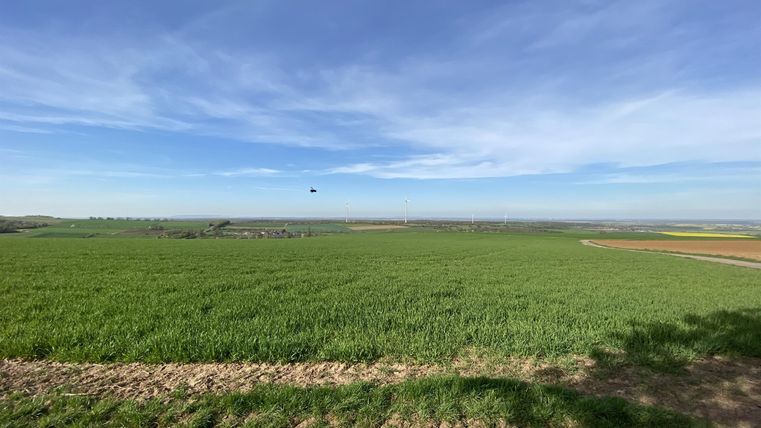 Eine weite, grüne Landschaft unter einem klaren blauen Himmel. Im Hintergrund sind sanfte Hügel und Felder zu sehen.