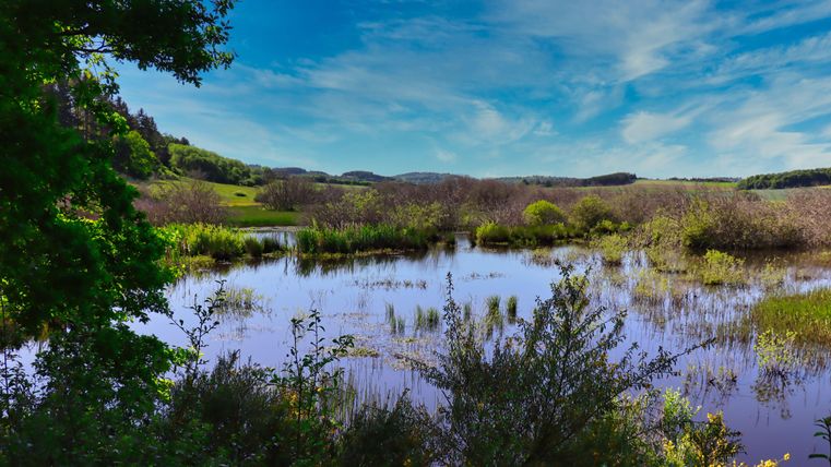 Eine ruhige Landschaft mit einem Gewässer und üppigem Grün. Der Himmel ist blau mit einigen Wolken.