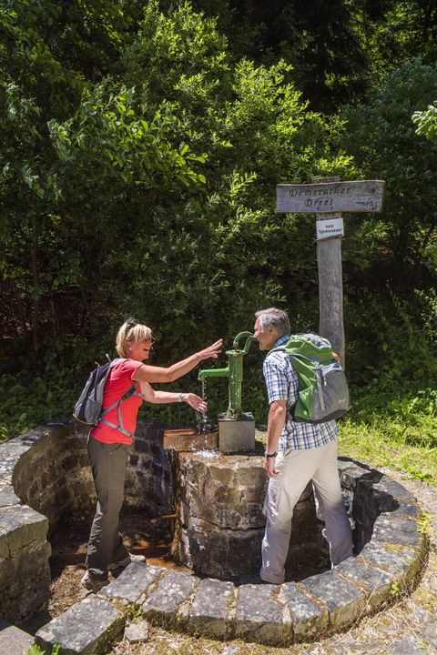 Zwei Wanderer stehen an einer Wasserquelle im Wald. Sie scheinen sich über die Quelle zu unterhalten und genießen die Natur.