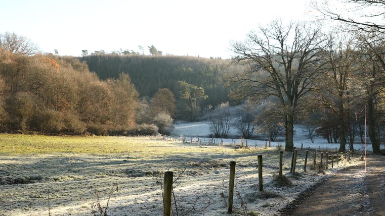 A tranquil winter landscape with frozen grass and bare trees. The path leads through the scenery to a wooded hill in the background.