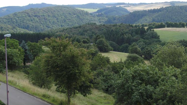 Eine grüne Landschaft mit sanften Hügeln und dichten Wäldern. Im Vordergrund ist eine Straße zu sehen, umgeben von Bäumen.