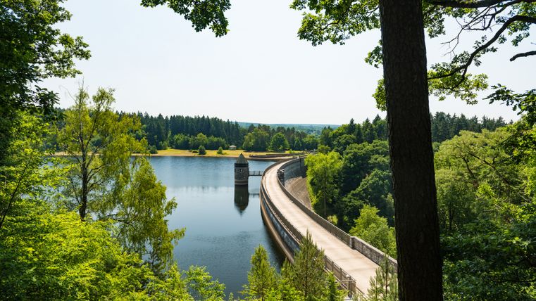 Blick auf die Dreilägerbachtalsperre mit umgebenden Bäumen und klarem Himmel.