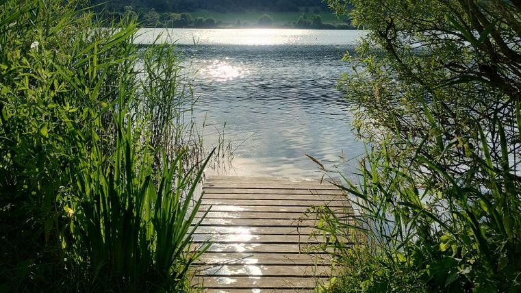 A picturesque dock leads to a tranquil lake, surrounded by lush vegetation. The sun gently reflects on the surface of the water.