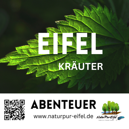 Een groen blad met benadrukte texturen. Daarboven staan de woorden „Eifel Kruiden“ en „Avontuur“.