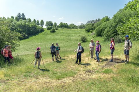 Eine Gruppe von Wanderern steht auf einer grünen Wiese, umgeben von Bäumen und Hügeln, bei sonnigem Wetter.