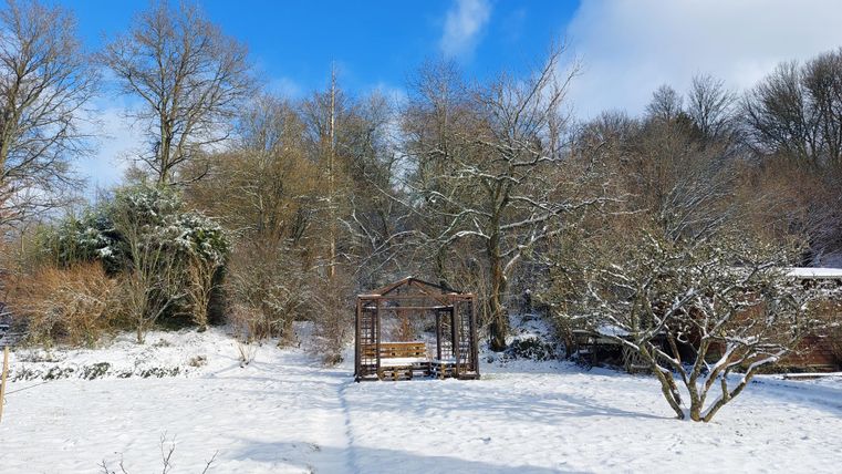 Ein verschneiter Garten mit Bäumen und einer Holzbank im Hintergrund. Der Himmel ist blau und klar.
