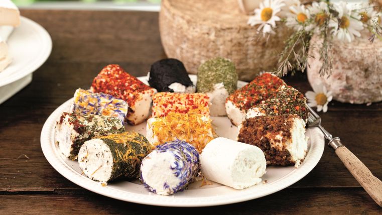 Ein Teller mit verschiedenen sortierten Käse-Röllchen in bunten Gewürzen. Die Käsevariationen sind kunstvoll angerichtet und bieten eine Vielzahl von Farben.