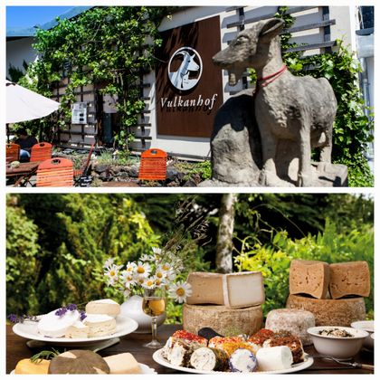 Nearby is the Vulkanhof, the famous goat cheese dairy where you can satisfy your goat cheese needs. You can enjoy a visit to a court and a visit to the hospital.