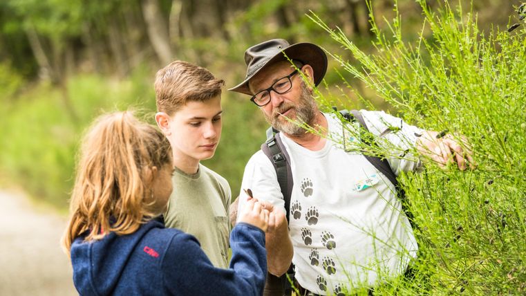 Een groep van drie personen in het bos. Ze bekijken samen een plant en leren iets over de natuur.