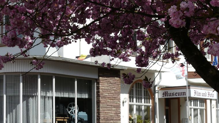 Ein Museum mit großen Fenstern, umgeben von blühenden Kirschbäumen. Die pinken Blüten ziehen die Aufmerksamkeit auf die Fassade des Gebäudes.