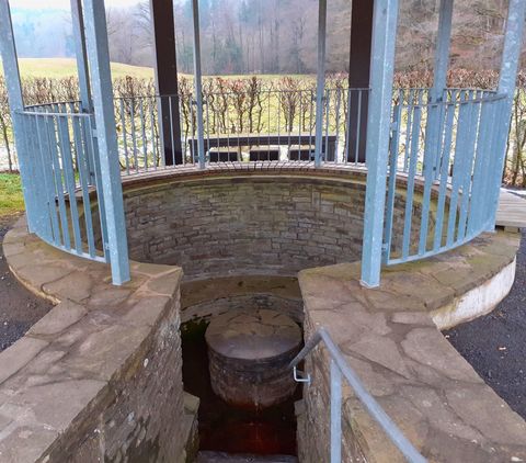 Steinbrunnen mit Metallgeländer, umgeben von Natur. Der Eingang zum Duppacher Drees, einem historischen Brunnen.