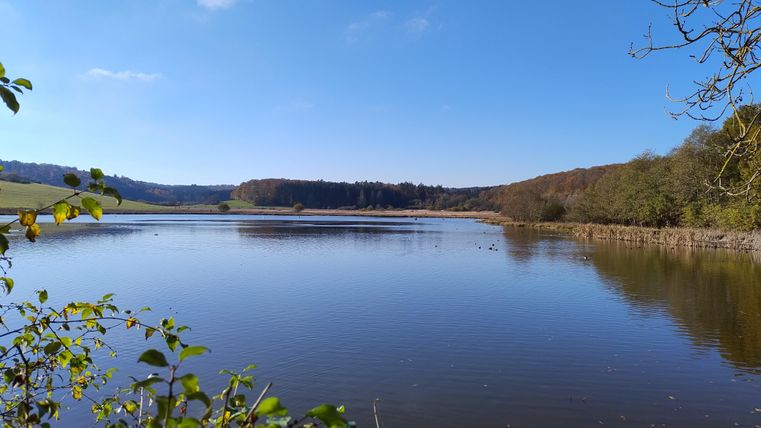 A tranquil lake surrounded by trees and gentle hills. The sky is clear and sunny.