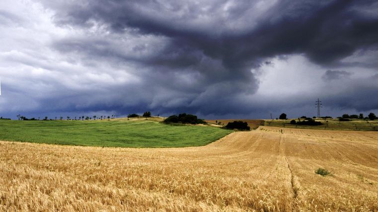 Der Ausblick vom Krimiweg auf ein Feld mit dunklen Wolken im Hintergund
