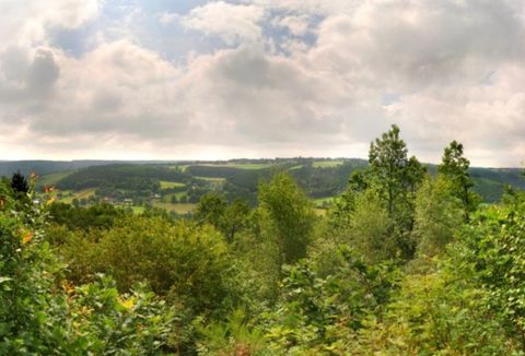 Een schilderachtig landschap met groene bomen en zachte heuvels. De lucht is bewolkt, wat een rustige sfeer creëert.