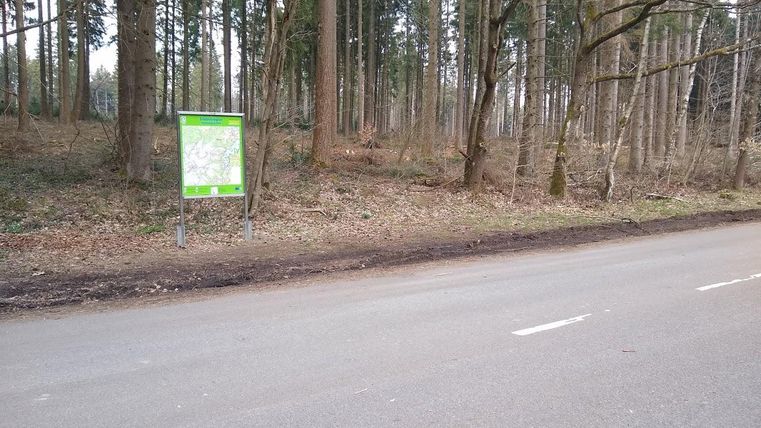Ein Wegweiser steht am Straßenrand in einem Wald. Die Umgebung ist von Bäumen und frisch aufgeräumtem Boden umgeben.