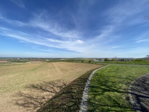 Eine weite Landschaft mit Ackerflächen und grünem Gras. Der Himmel ist klar und blau mit sanften Wolken.