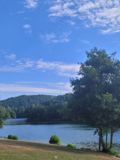 A Summer Morning at Lake Freilingen
