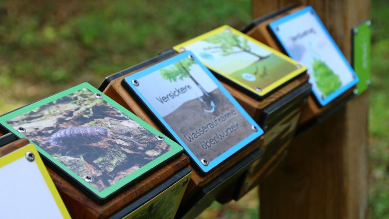 eine weitere Station, wo Kinder über Bilder die Entstehung der Pflanzen kennenlernen.