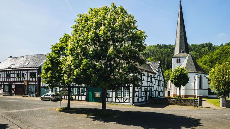 Ein malerisches Dorf mit traditionellen Fachwerkhäusern und einem hohen Kirchturm. Im Vordergrund steht ein großer, blühender Baum.