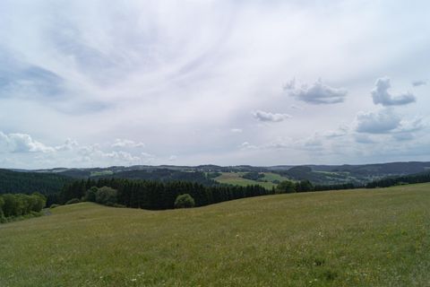 A wide meadow landscape with gentle hills and a slightly cloudy sky. The view radiates tranquility and a connection to nature.