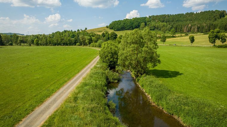 Eine ruhige Landschaft mit einer kleinen, klaren Wasserstraße und grünen Wiesen. Der Himmel ist blau mit einigen weißen Wolken.