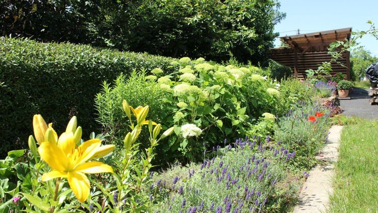 A blooming garden with colorful flowers and green plants. In the background, a wooden building can be seen and the sky is clear.