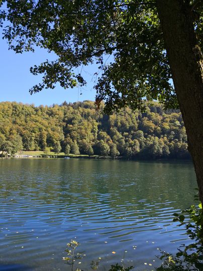 Een rustige meer, omgeven door bomen en zachte heuvels. Het water weerspiegelt de kleuren van de omgeving.