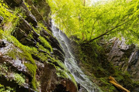 Ein schöner Wasserfall fließt über moosbedeckte Felsen. Umgeben von üppigem Grün und Bäumen vermittelt die Szene eine friedliche Atmosphäre.