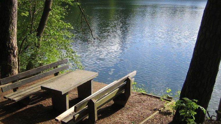 Een rustige meer omringd door bomen, met een picknickvriendelijke houten zitplaats. Het water weerspiegelt de groene oever.