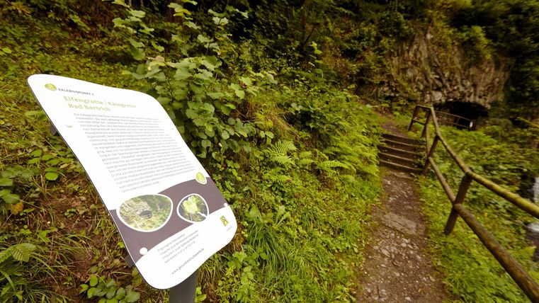 Een wandelpad met een bord dat informatie biedt. Omringd door weelderig groen en bomen.
