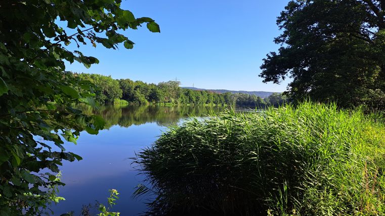 Ein ruhiger Fluss mit klarem Wasser, umgeben von grünen Sträuchern und Bäumen. Der Himmel ist blau und wolkenlos.