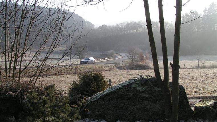 Eine frostige Landschaft mit Bäumen und einem kurvigen Weg. Ein Auto fährt durch die ruhige, neblige Szenerie.
