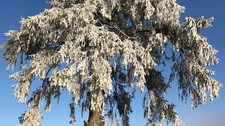 Winter in the Eifel
