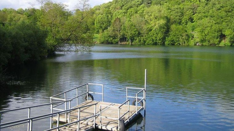 Een rustige vijver omringd door groene bomen. Een houten steiger leidt het water in.