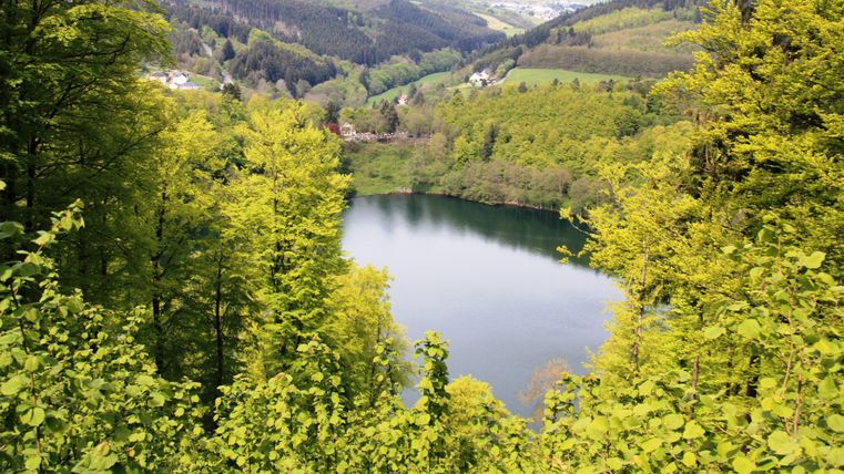 Ein malerischer See umgeben von üppigem, grünem Wald. Die sanften Hügel im Hintergrund verleihen der Landschaft eine ruhige Atmosphäre.