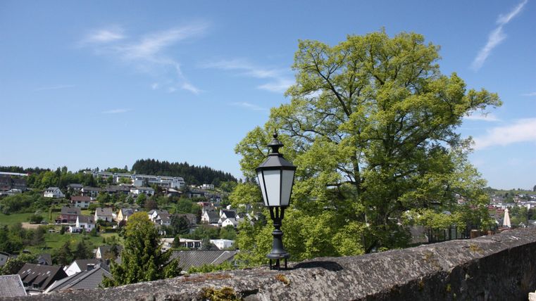 Eine malerische Landschaft mit einem Laternenpfahl und einem großen grünen Baum. Im Hintergrund sind die Dächer von Häusern und eine hügelige Umgebung zu sehen.