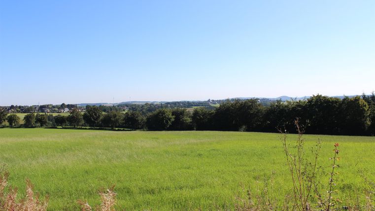 Ein weitläufiges, grünes Feld unter einem klaren blauen Himmel. Im Hintergrund sieht man Bäume und Hügel.