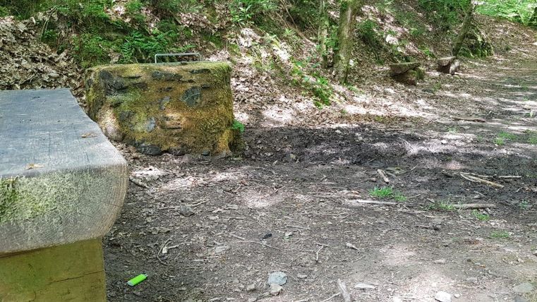 Eine einfache Holzbank steht auf einem erdigen Weg im Wald. Der Boden ist von Laub und kleinen Steinen bedeckt.