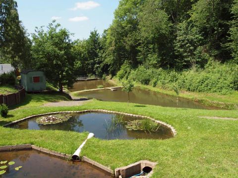 Een rustige vijver omgeven door veel groen en bomen. Op de achtergrond zijn verdere waterpartijen en een idylisch pad te zien.