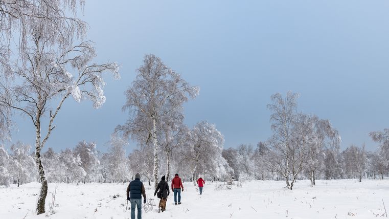 Mensen lopen in de sneeuw op de Struffeltroute, omringd door besneeuwde bomen.