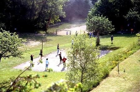 Ein grüner Park mit vielen Bäumen und Wiese. Kinder spielen und bewegen sich auf einem Sportfeld.