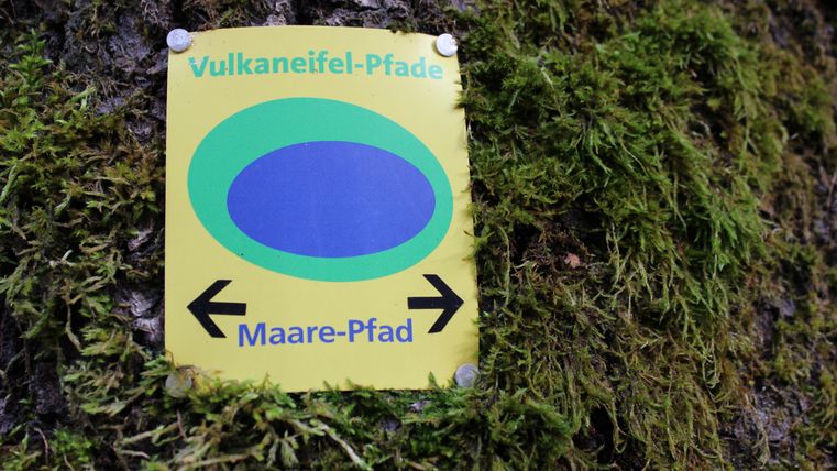 A yellow sign on a tree indicating the Maare path. It shows two arrows pointing left and right as well as a blue oval dot.