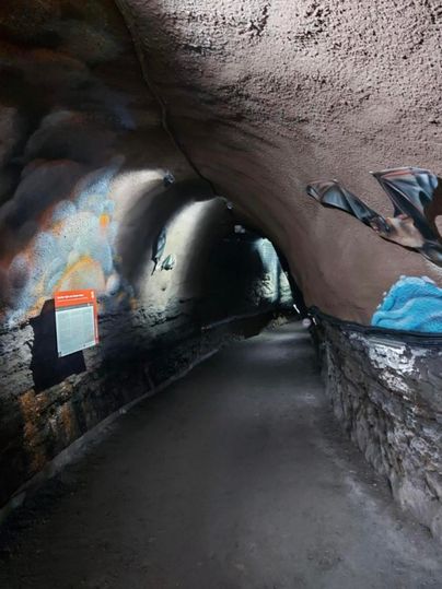 Een tunnel met ruwe muren en kleurrijke muurschilderingen. Het pad is smal en leidt de duisternis in.
