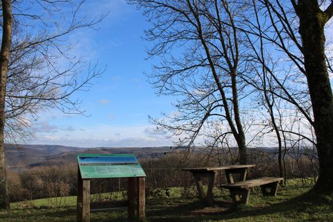 Ein schöner Aussichtspunkt mit einem Tisch und einer Bank unter Bäumen. Der Himmel ist klar und blau, was eine ruhige Atmosphäre schafft.