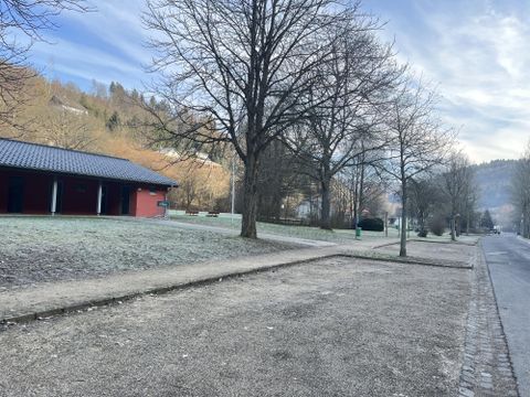 Een rustige park met kale bomen en bevroren grond. Op de achtergrond zijn gebouwen en zachte heuvels te zien.