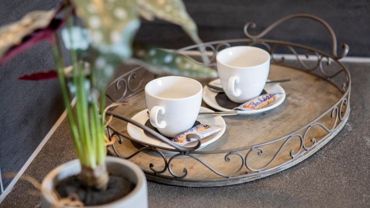 Ein dekoratives Tablett mit zwei weißen Tassen und Untertassen. Im Hintergrund steht eine Pflanzen in einem Topf.