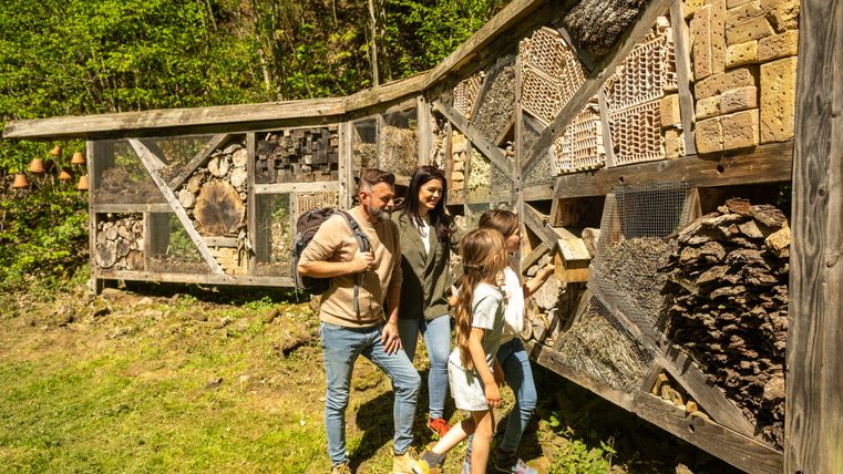 Een gezin verkent een insectenhotel in de open lucht. Het is gemaakt van verschillende natuurlijke materialen en bevindt zich in een groene omgeving.