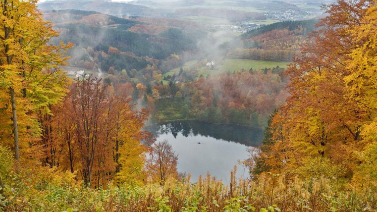 Een schilderachtig landschap met kleurrijke herfstbomen en een rustige plas. De lucht is bewolkt en er zijn nevelslierten zichtbaar.