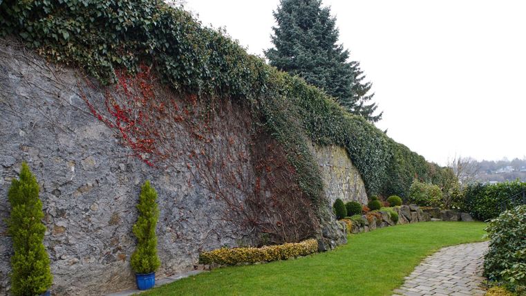 Ein gepflegter Garten mit einer steinernen Mauer und einem grünen Rasen. Auf der linken Seite stehen zwei kleine, grüne Pflanzen in blauen Töpfen.