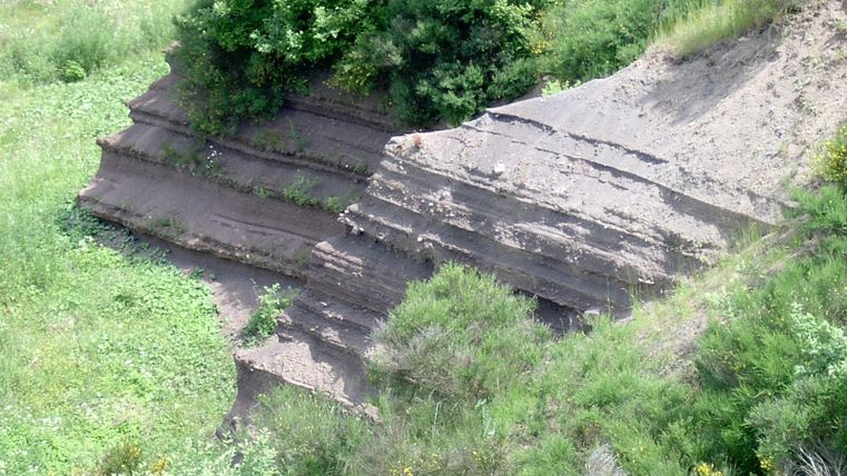 Ein Hang mit schichtweisem Erdmaterial und üppiger Vegetation. Grünes Gras und Sträucher umrahmen die freigelegte Erde.